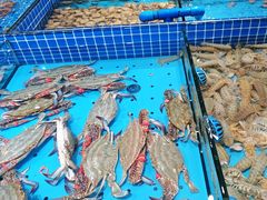 -渔港甄宴·海鲜·地标烟台菜(金沙滩店)