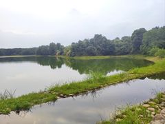 -中海·庐山西海君澜度假酒店·味屿全日制餐厅