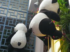 -印象泰和园(望丛西路店)