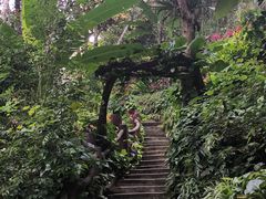 -野象谷景区