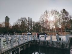 -后襄河公园