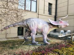 -国家自然博物馆