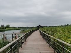 -苏州太湖湖滨国家湿地公园