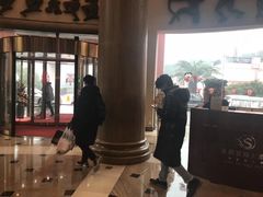 -圣爵菲斯大酒店(长沙世界之窗店)