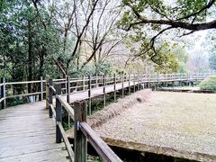 -河姆渡遗址博物馆