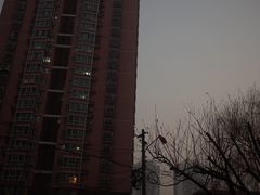 -芍药居北里