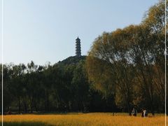 -北坞公园