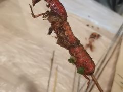-郑记•不夜城烧烤•龙虾•虾蟹(黄鹤楼店)