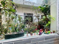 -小洲村