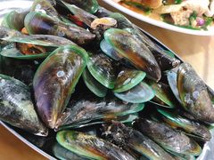 -七鲜渔港美食餐厅(巽寮湾海景店)