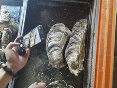 -土蚝·高压锅生蚝(百姓美食街店)