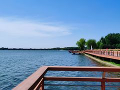 -丁香湖公园