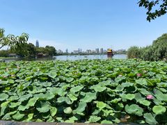 -济南大明湖景区