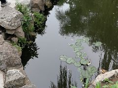 -文瀛公园