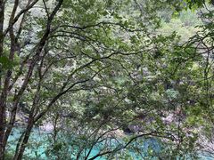 -石台牯牛降景区