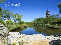 -西海子公园