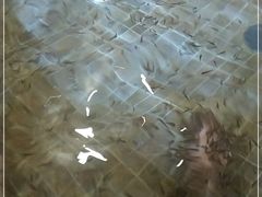 -中家鑫园温泉酒店鑫悦汤泉