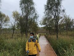 -东郊湿地公园