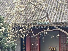 -罔极寺