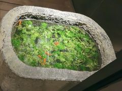 -觀芷隐轩