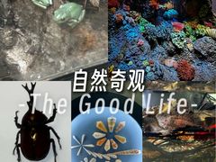-中国湿地博物馆
