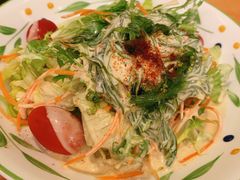 海带丝蔬菜沙拉-萨莉亚意式餐厅(深圳北站店)