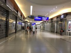 -太兴烧味餐厅(香港机场店)