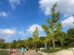 -新江湾城公园