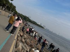 -宝安西湾红树林湿地公园