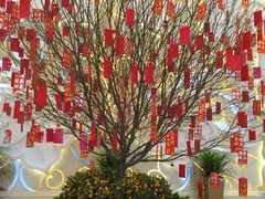 -常州环球恐龙城维景国际大酒店