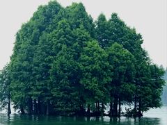 -尚湖风景区