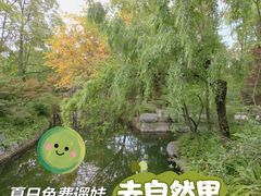 -棠湖公园