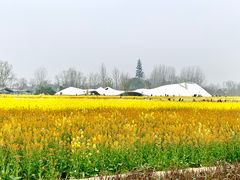 -中国天府农业博览园