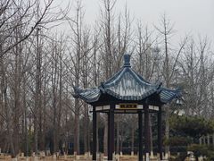 -赵州桥景区