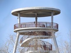 -福田红树林生态公园