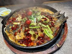 -老板恋上鱼(恒隆广场店)