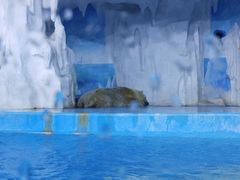 -多彩贵州城极地海洋世界