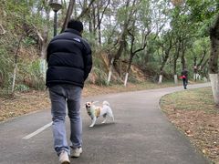 -燕晗山郊野公园
