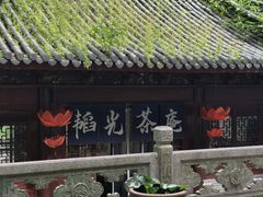 -韬光茶庵