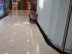 -1981牛排西餐厅(海信店)