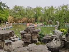 -南宫五洲植物乐园