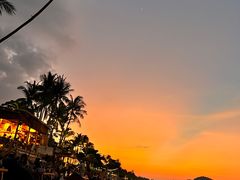 -Coco Tam’s