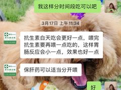 -爱侣宠医·鹦鹉专科·小型哺乳类·异宠专科(灵石路店)