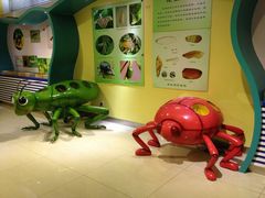 IMG_1684-上海昆虫博物馆