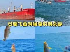 -日照海滨国家森林公园