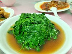 草头-蘭心餐厅(进贤路店)