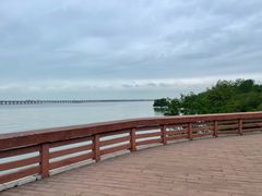 -宝安西湾红树林湿地公园