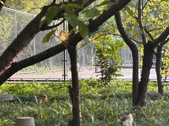 -同济大学图书馆(嘉定校区)