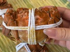 -蟹天蟹地农家菜·阳澄湖大闸蟹(浅水湾店)