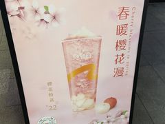 -CoCo都可(包河万达店)